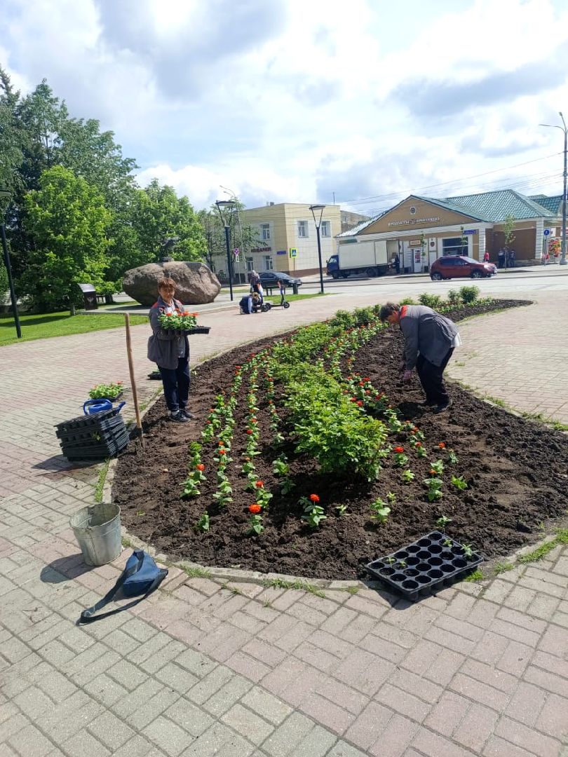 Шаховская, озеленение, благоустройство