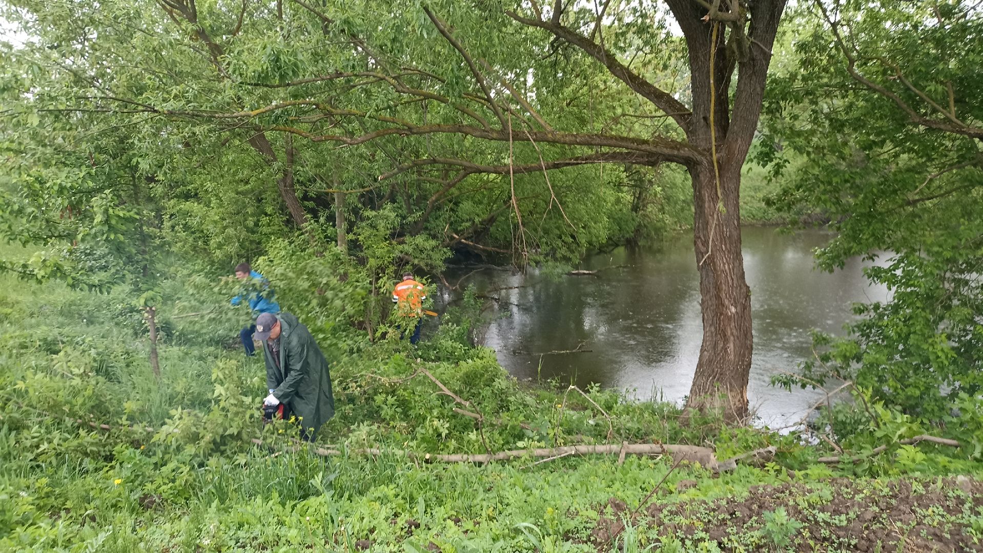 Серпухов, Подмосковье, экология, волонтеры, Нара