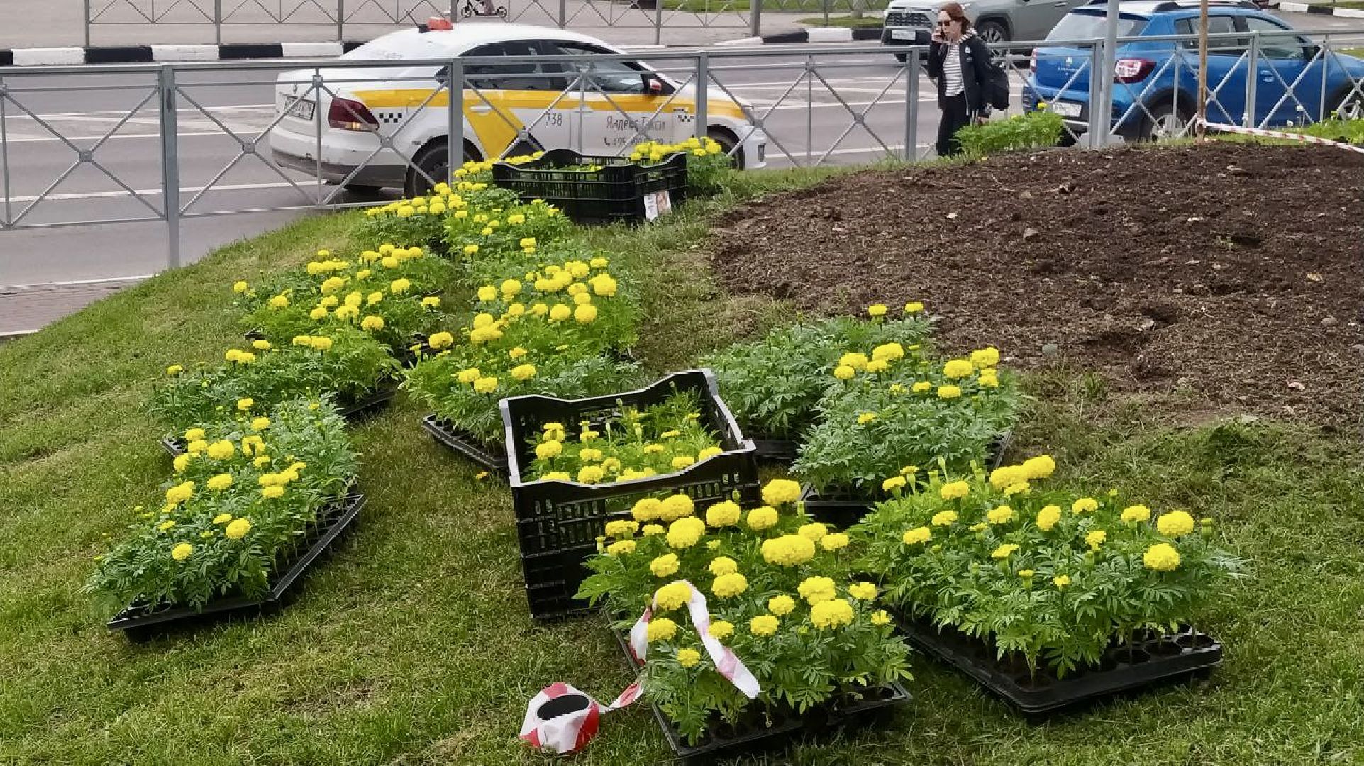 Наро-Фоминск, Наро-Фоминский городской округ, Благоустройство, лето в Подмосковье, День города, праздник