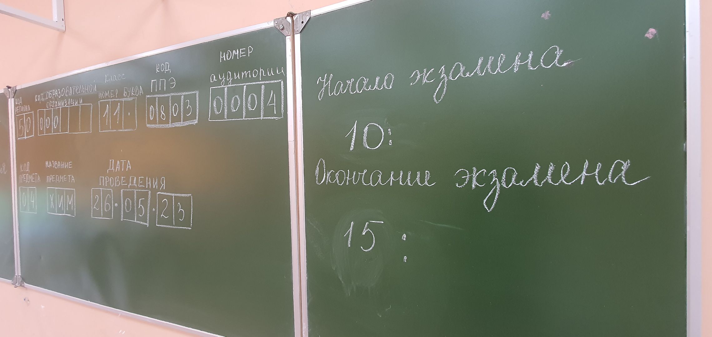 обществознание, ЕГЭ, Домодедово