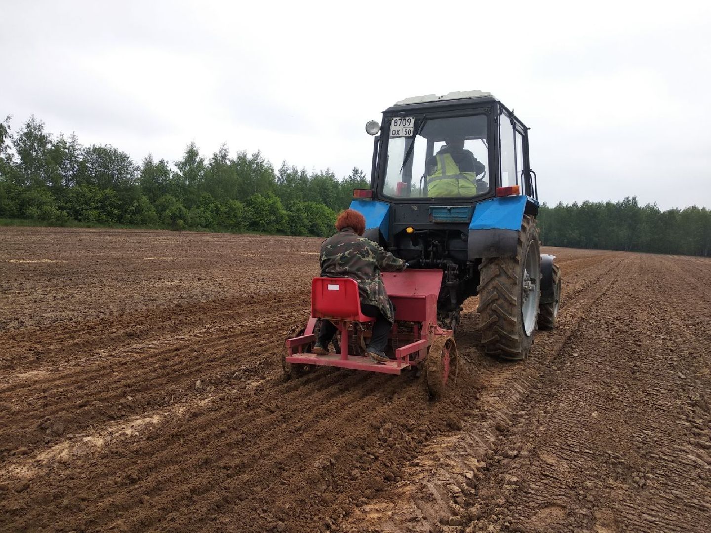 Дмитровский лесной питомник, Центрлесхоз, Комитет лесного хозяйства МО