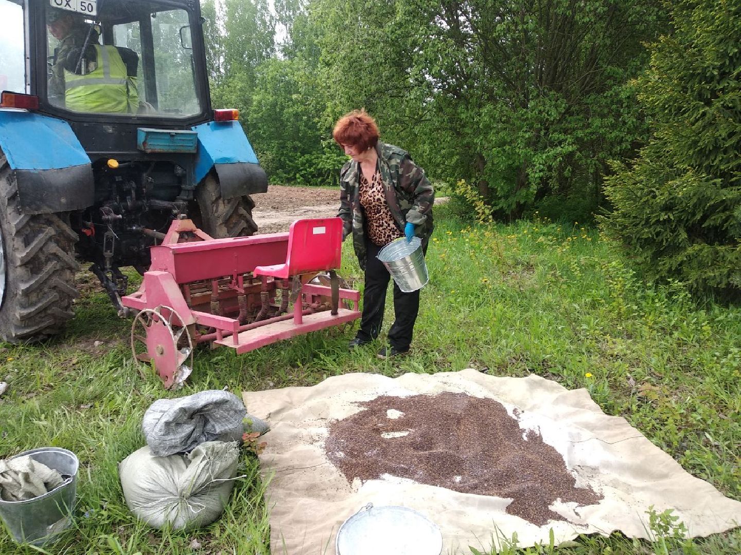 Дмитровский лесной питомник, Центрлесхоз, Комитет лесного хозяйства МО