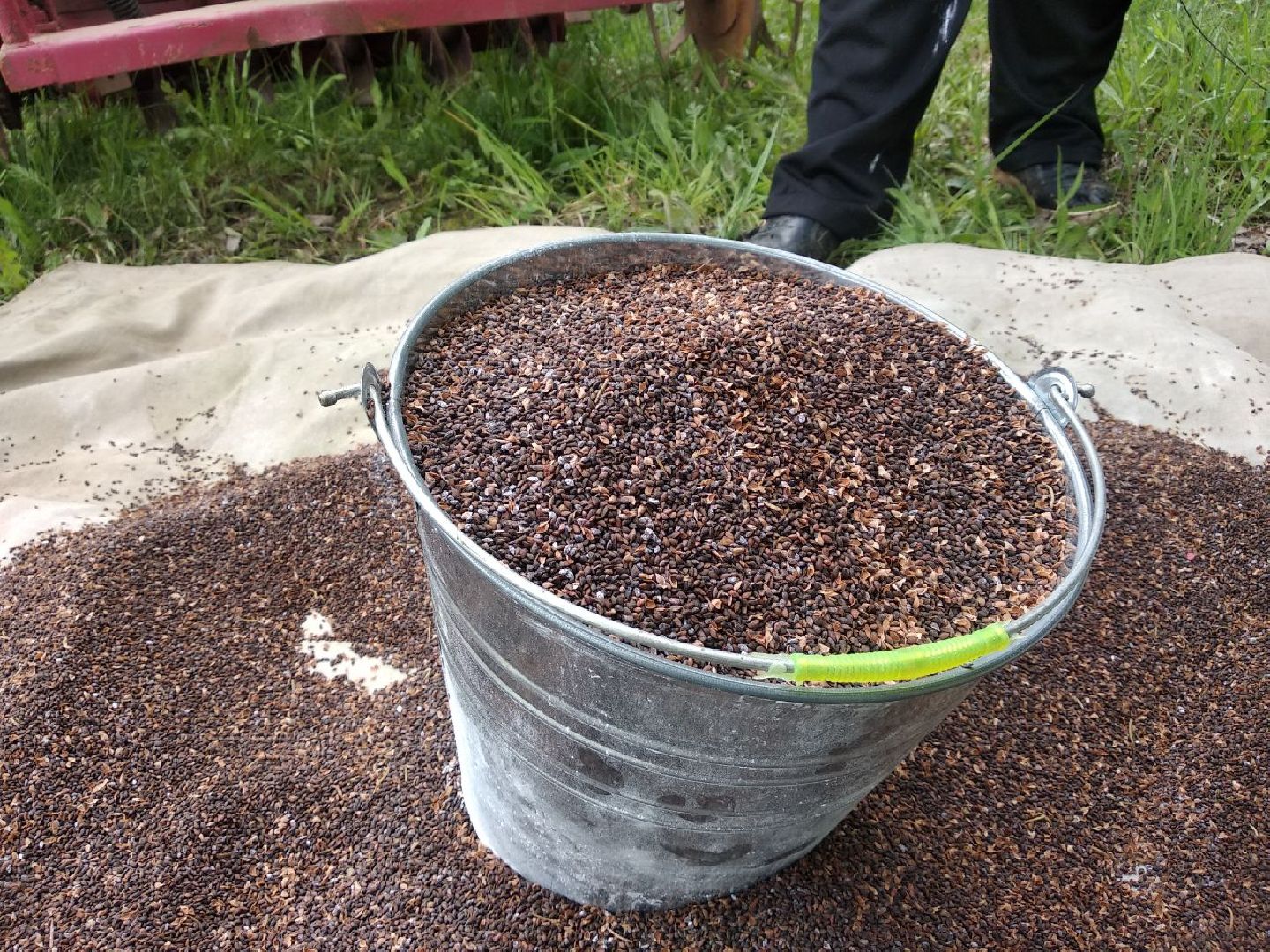 Дмитровский лесной питомник, Центрлесхоз, Комитет лесного хозяйства МО