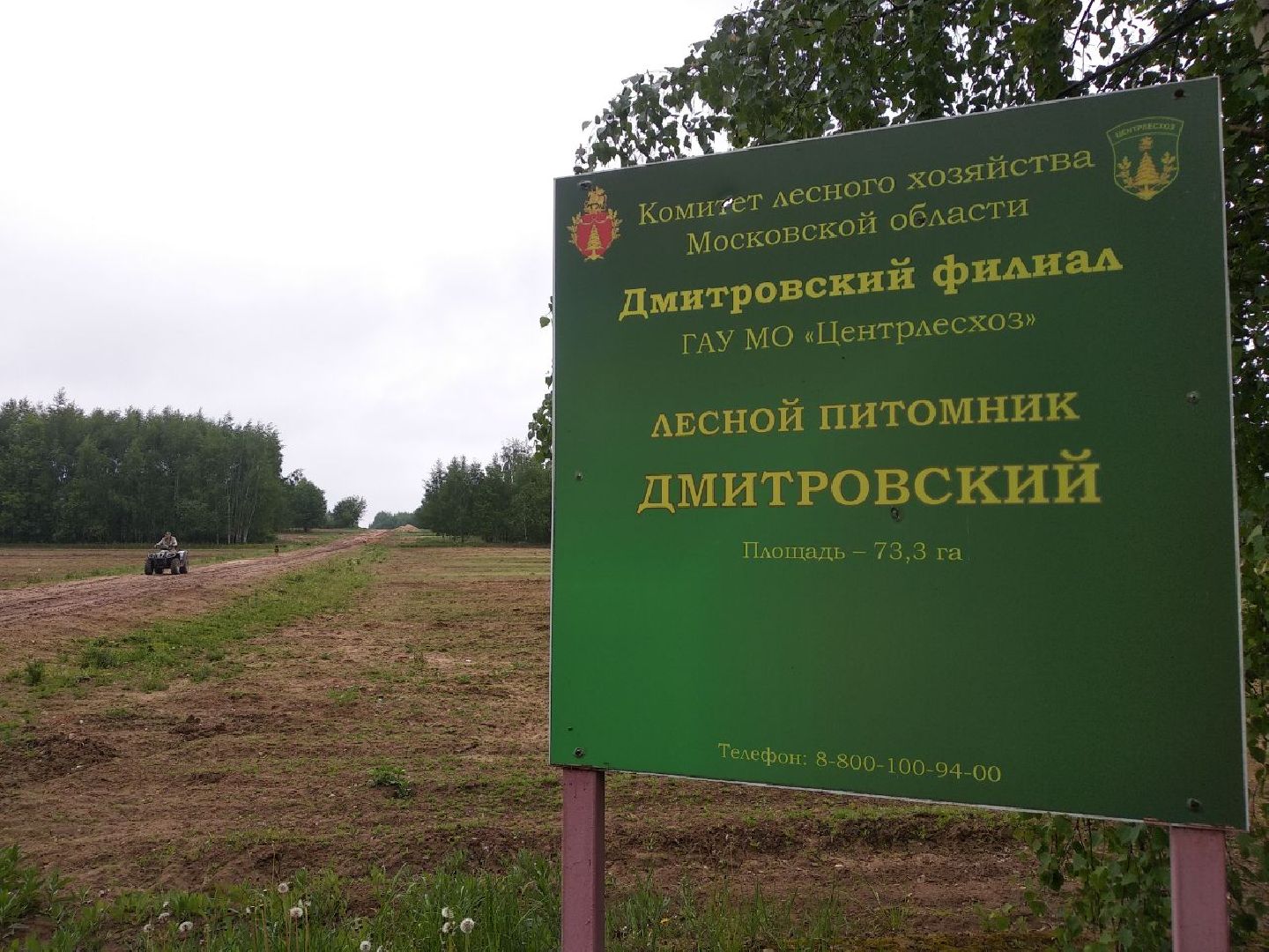 Дмитровский лесной питомник, Центрлесхоз, Комитет лесного хозяйства МО