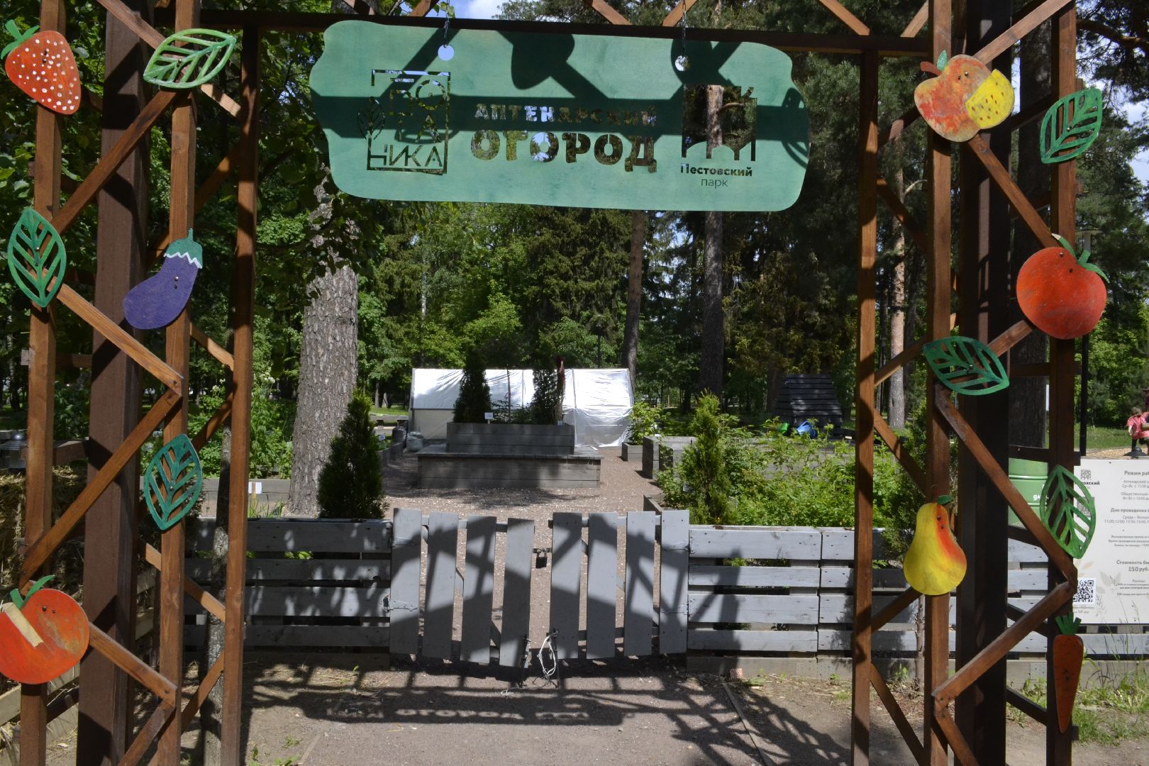 общественный огород