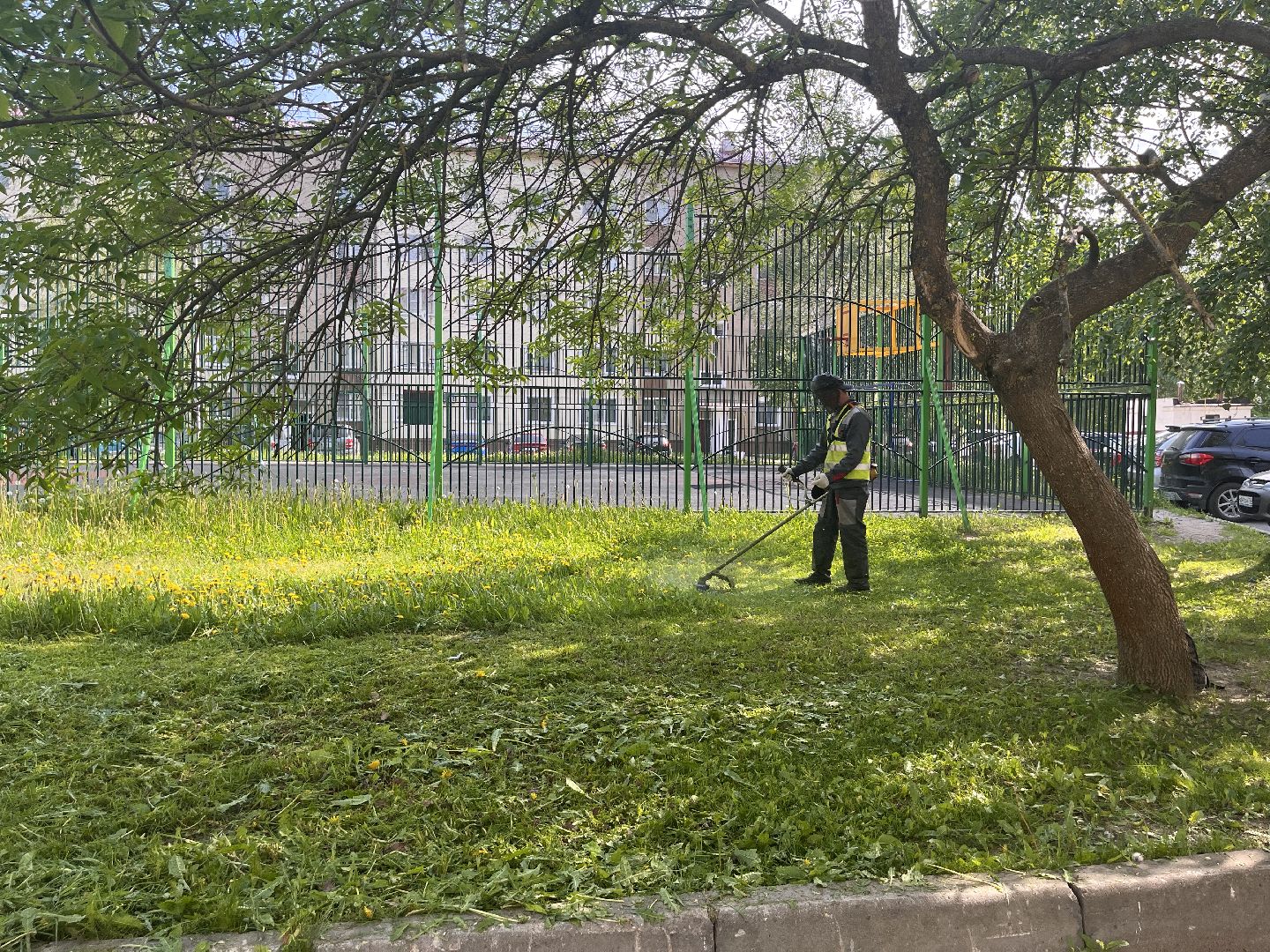 покос травы