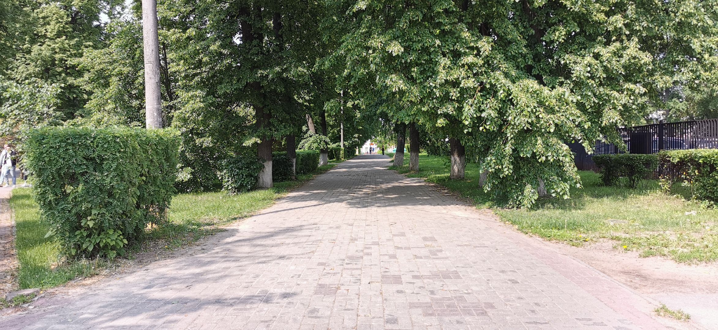 Голос