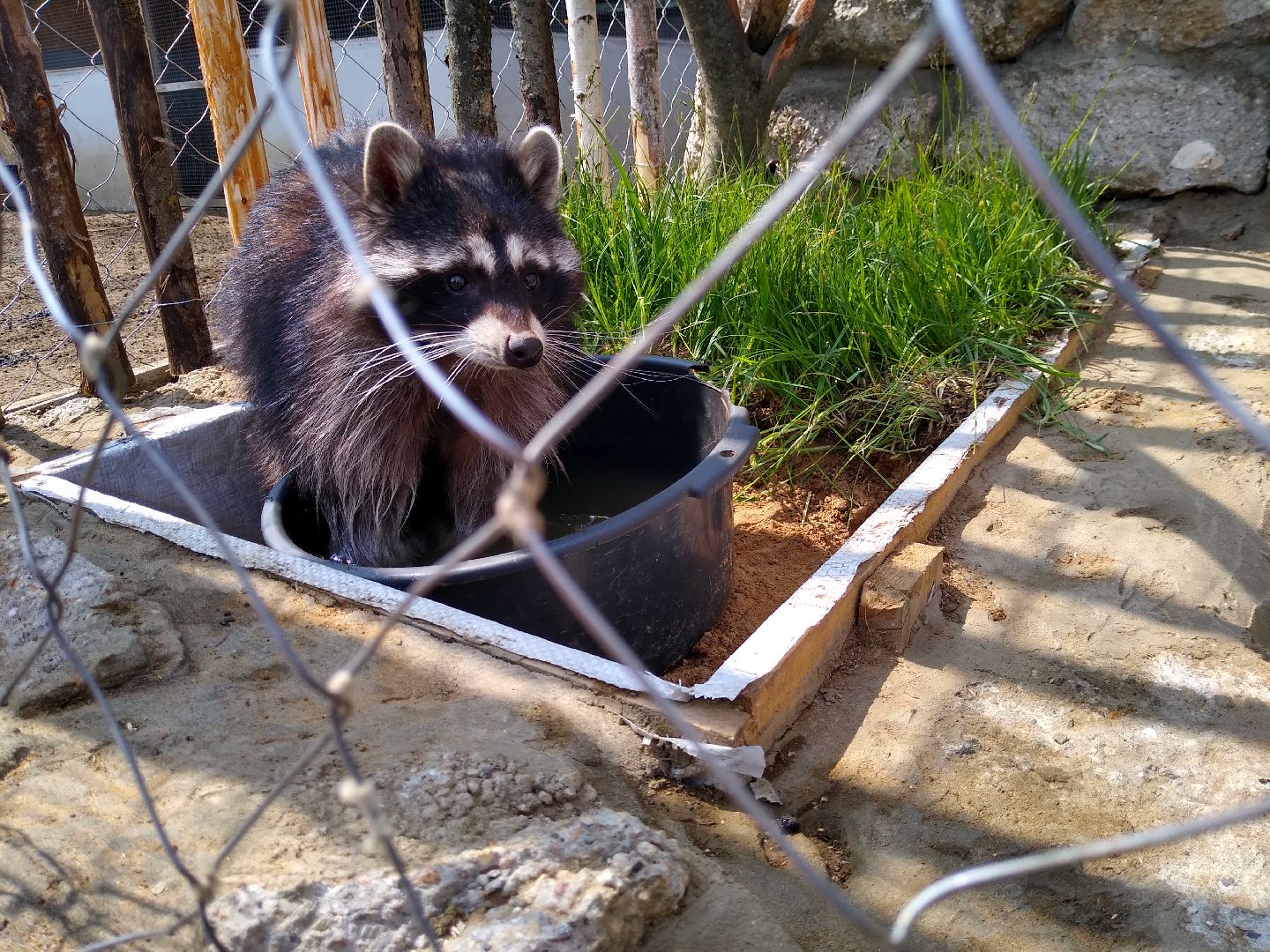 ЭКО