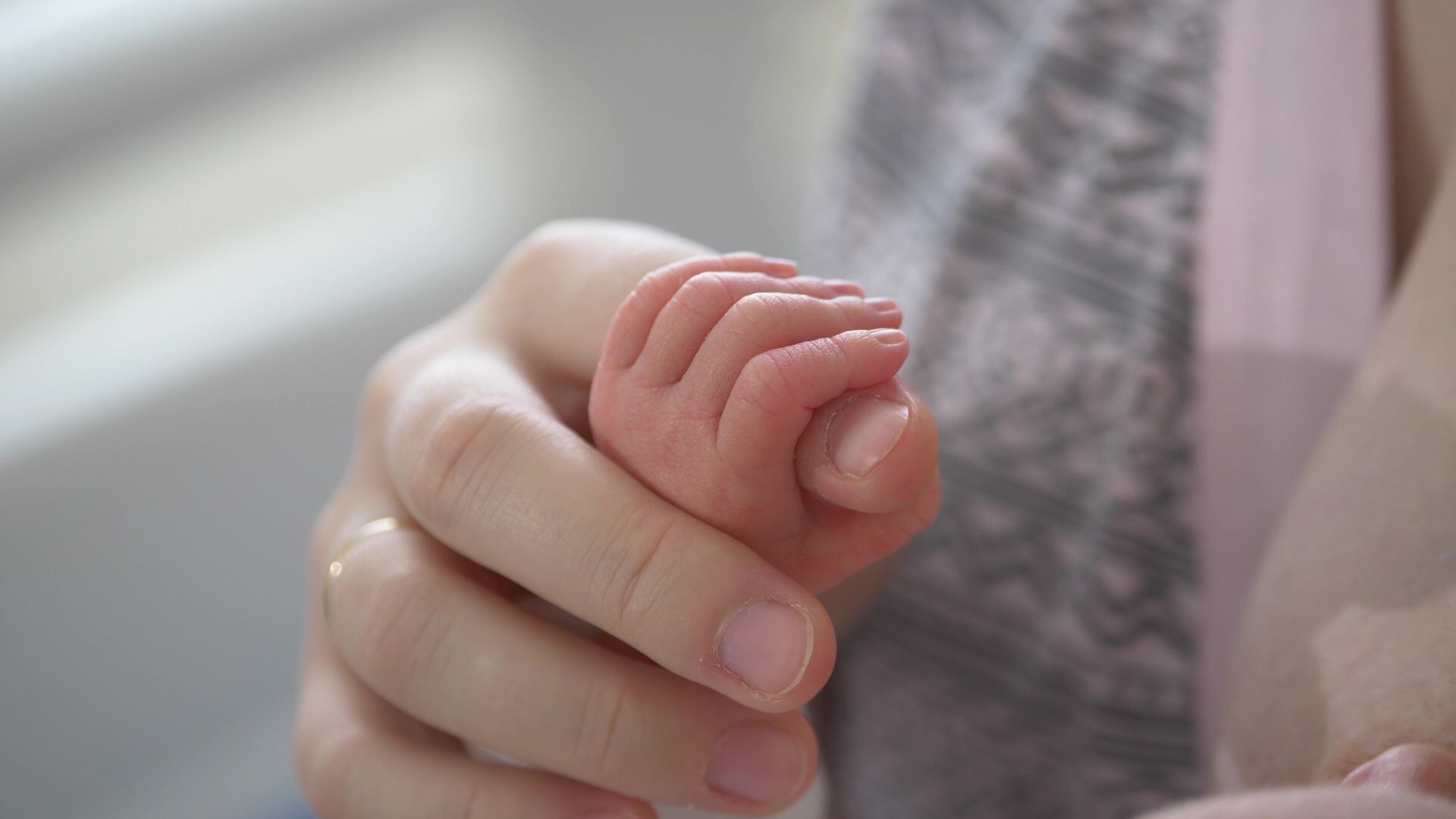 вскармливание