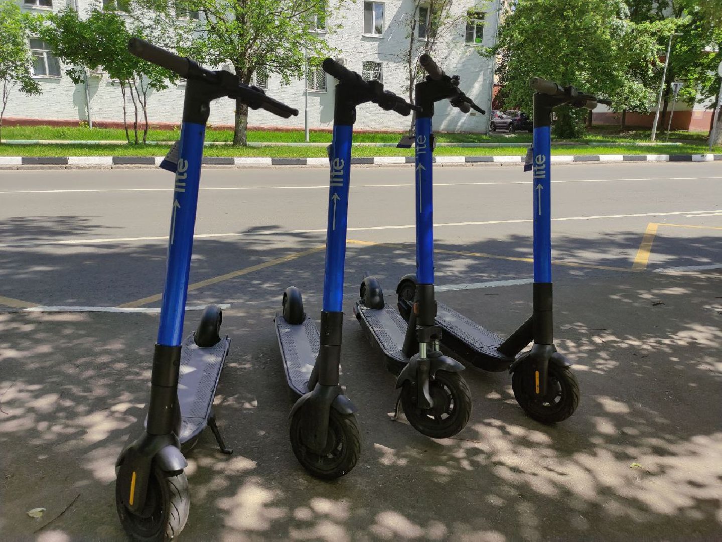 прокат