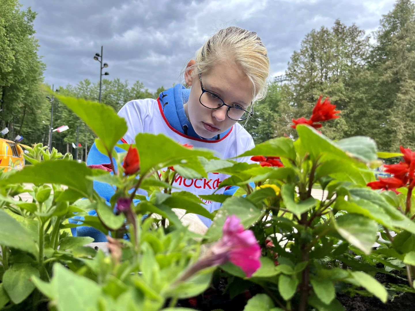 центральный парк