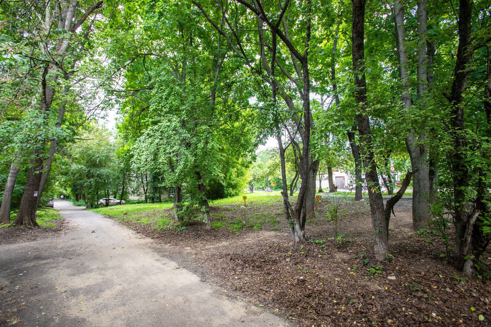 голосование