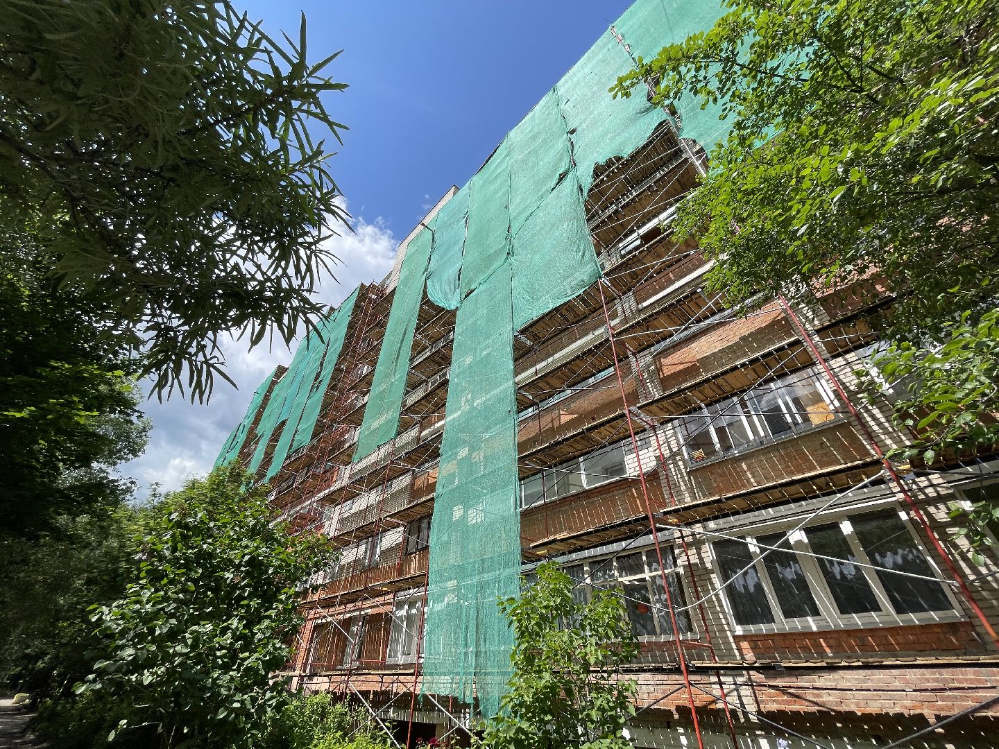 губернатор