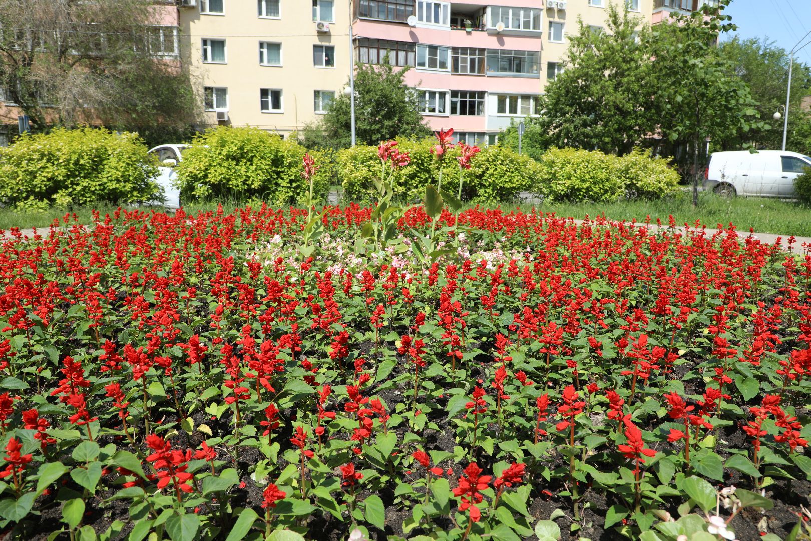 летний сезон