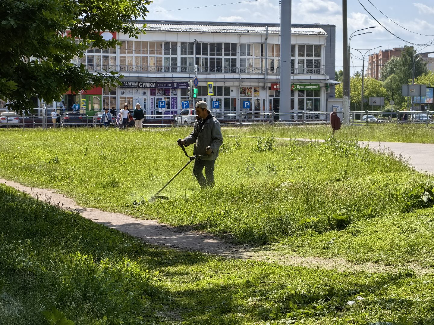 Покос