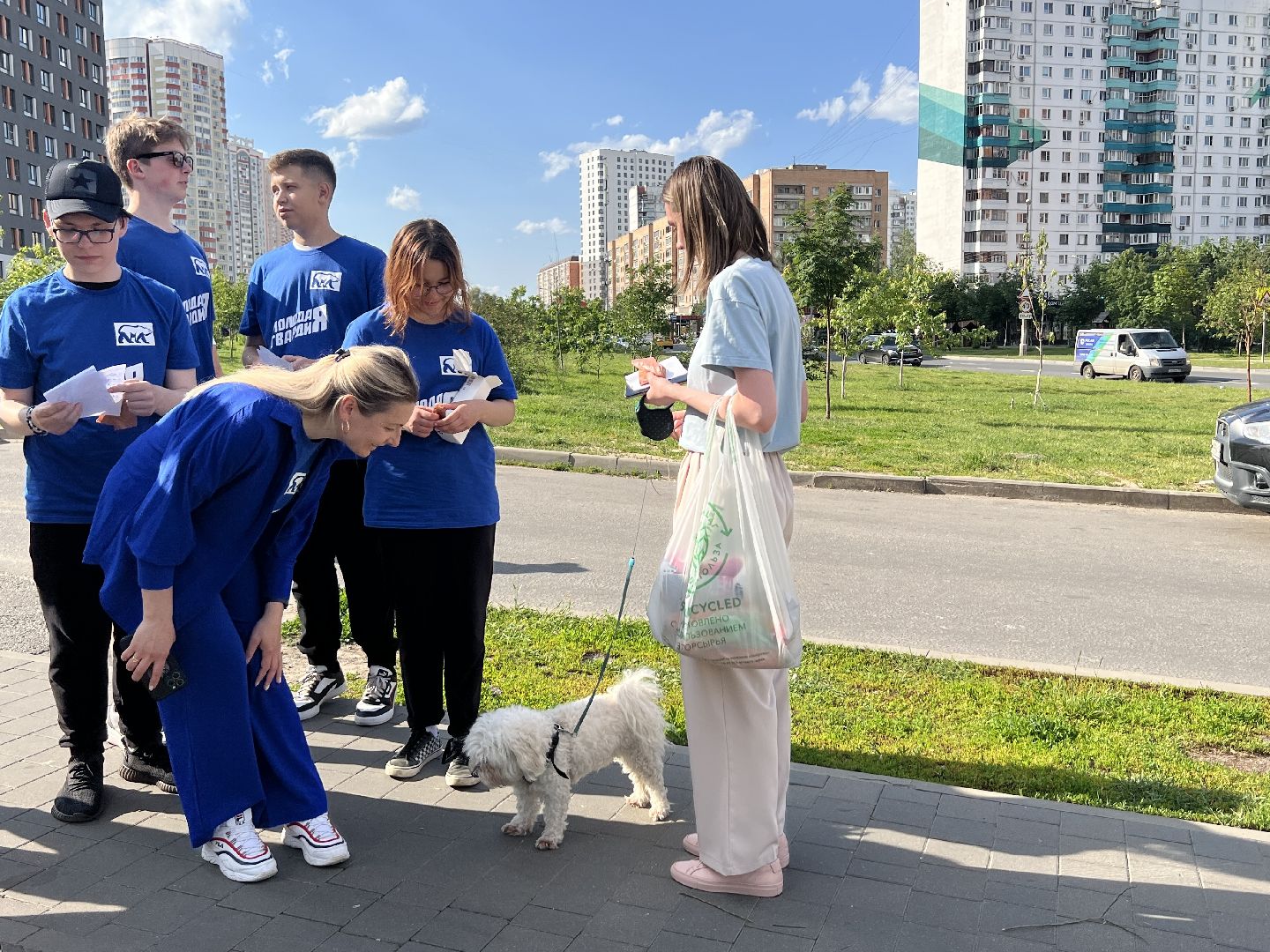 Домашние животные