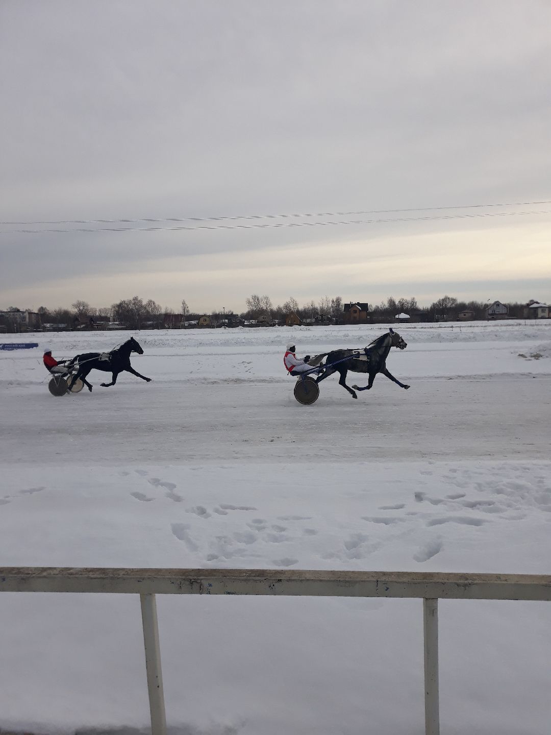 конный спорт