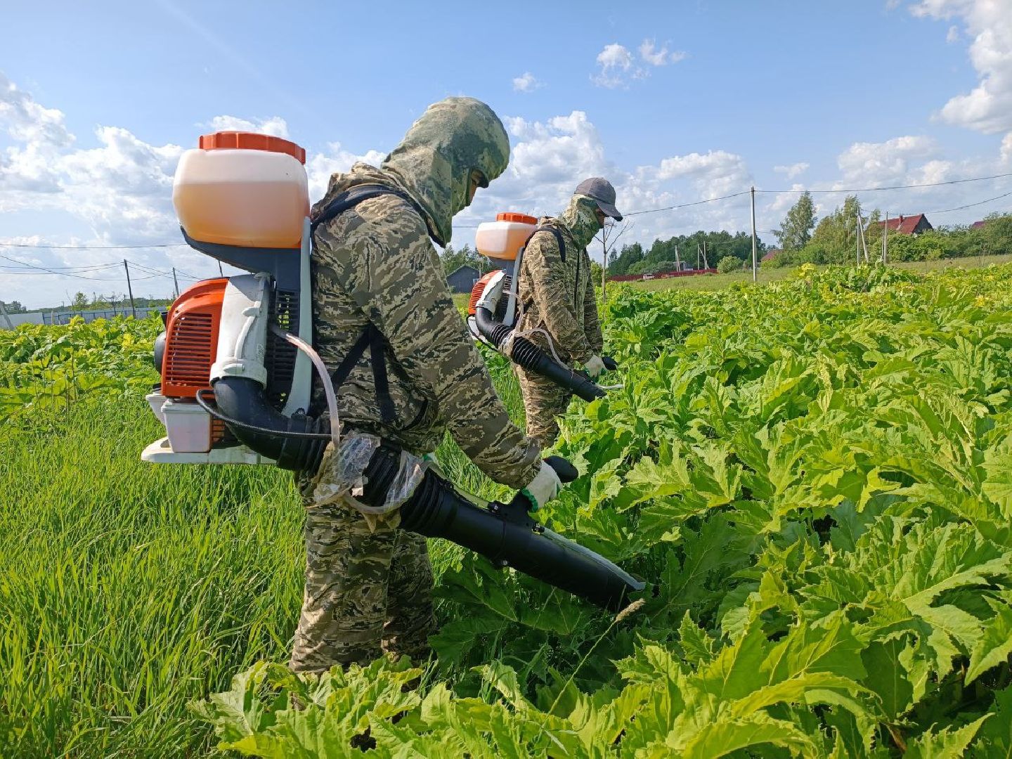 земля