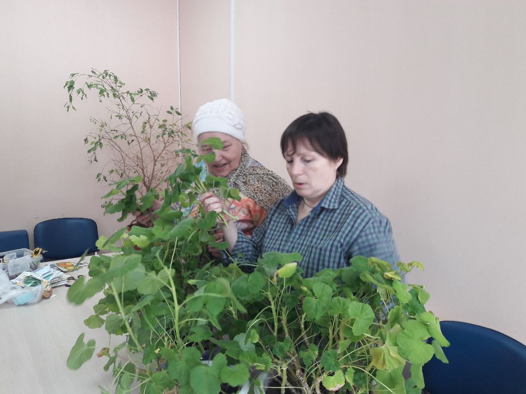 клуб садоводов