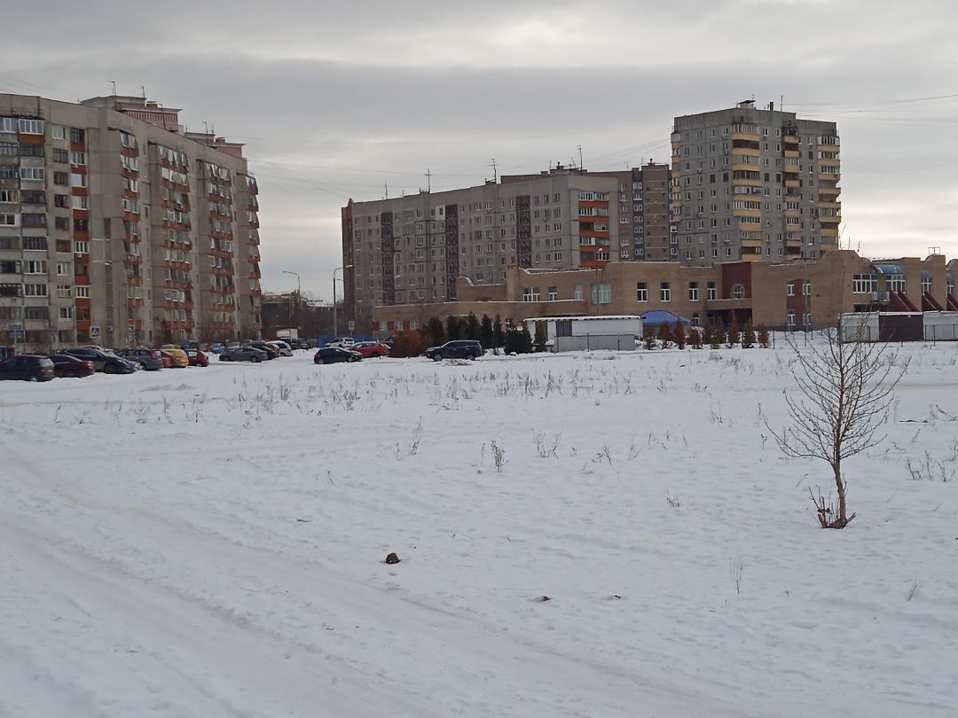 Учебное заведение