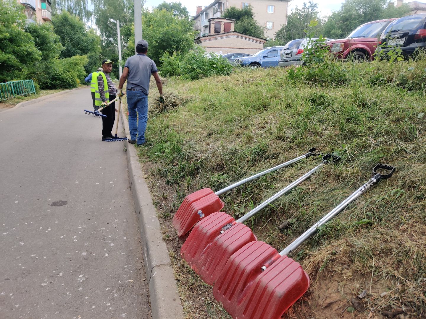 Покос