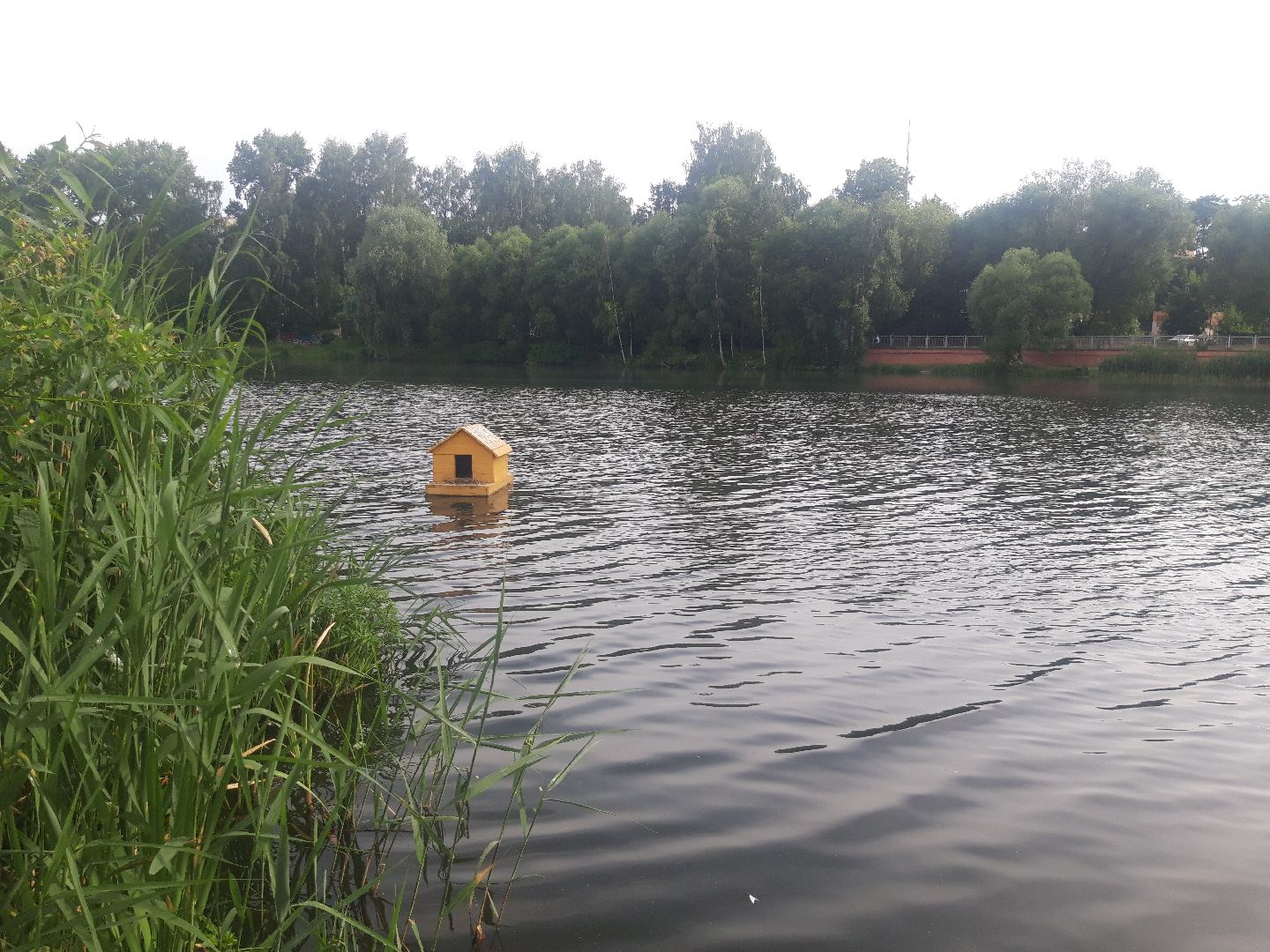 доброе дело