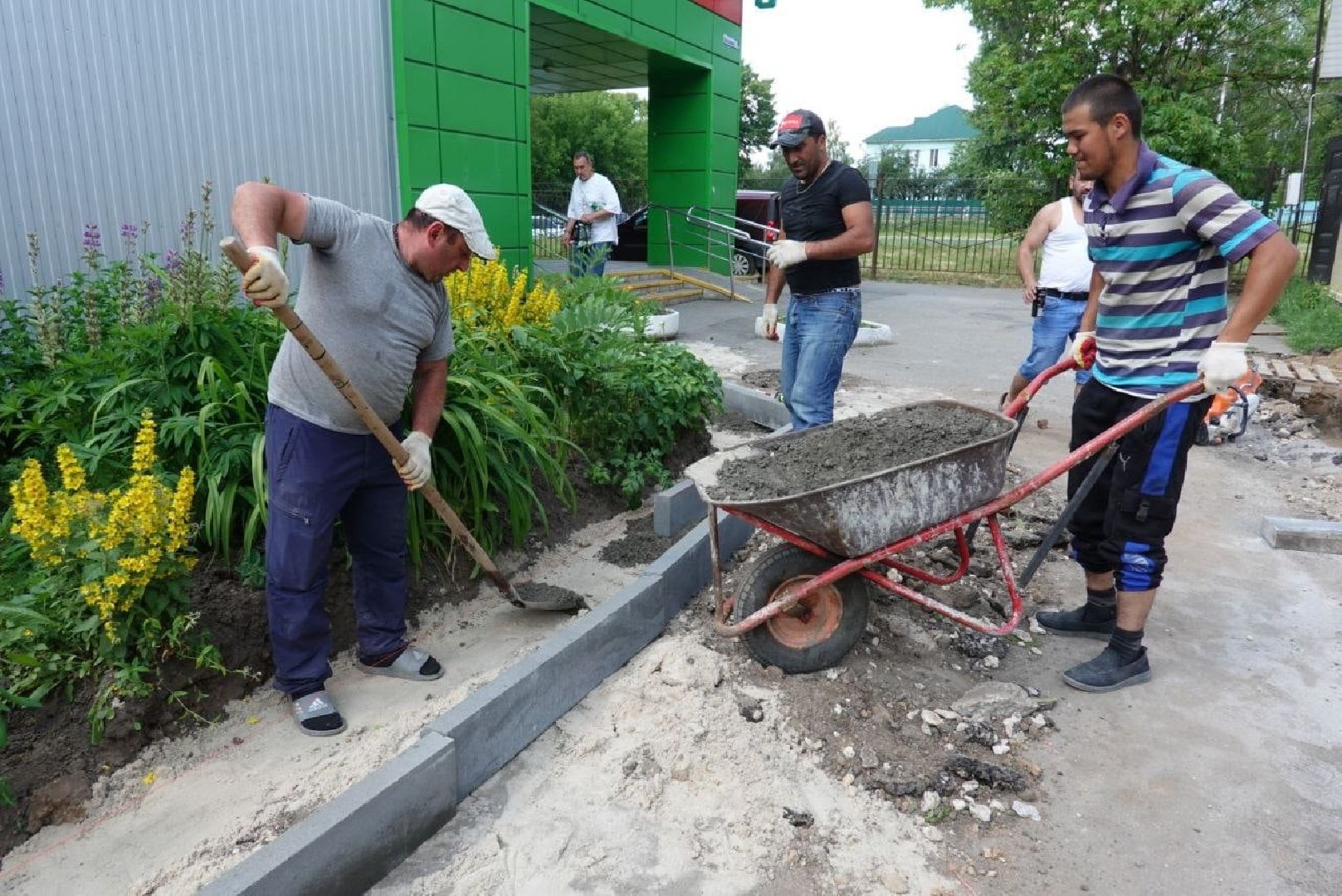 губернатор