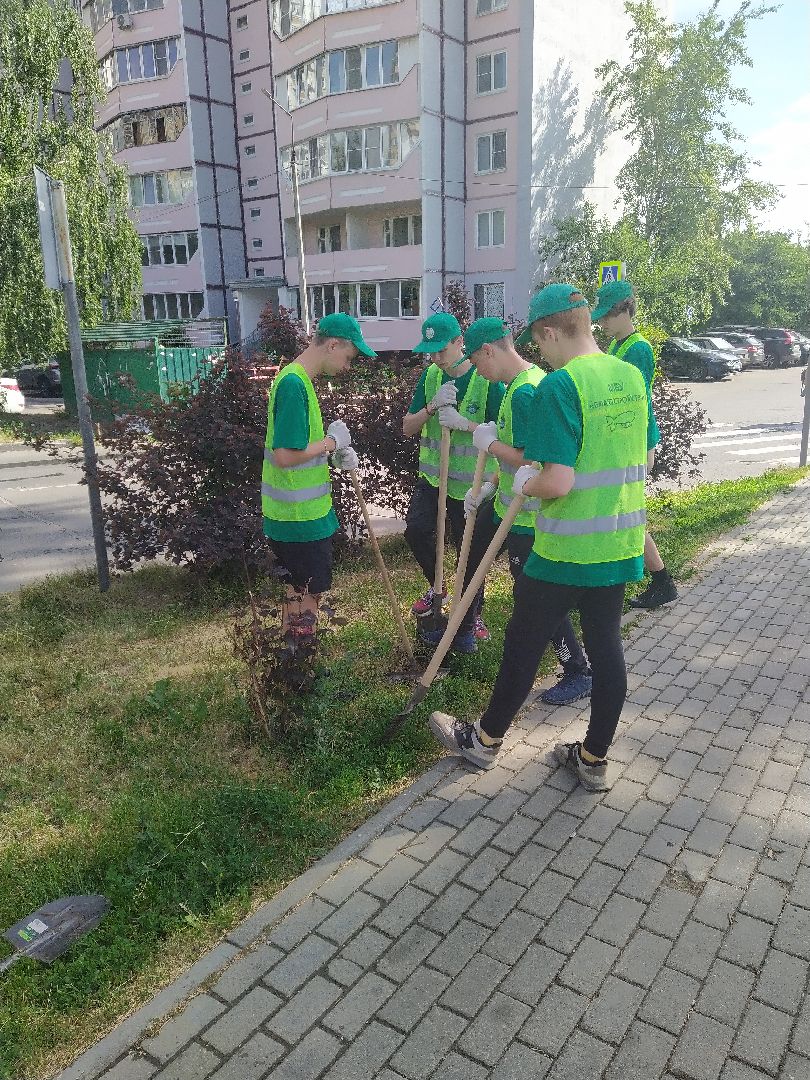 озеленение