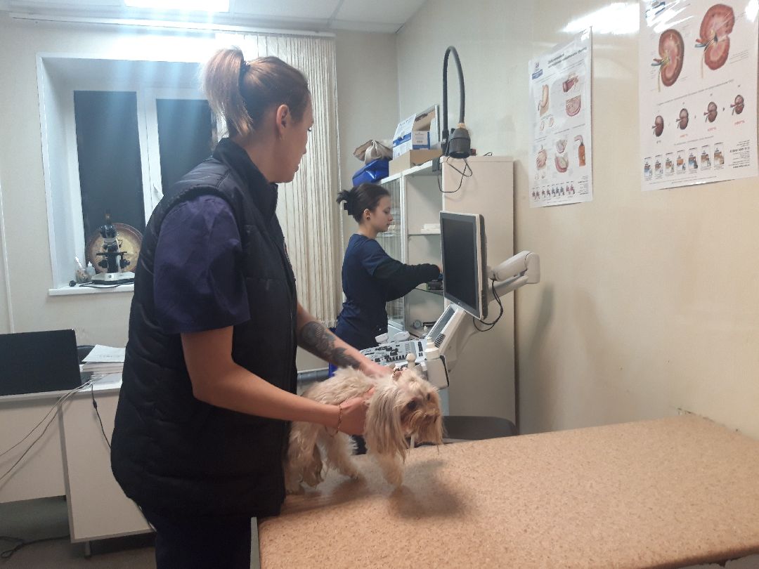 доброе дело