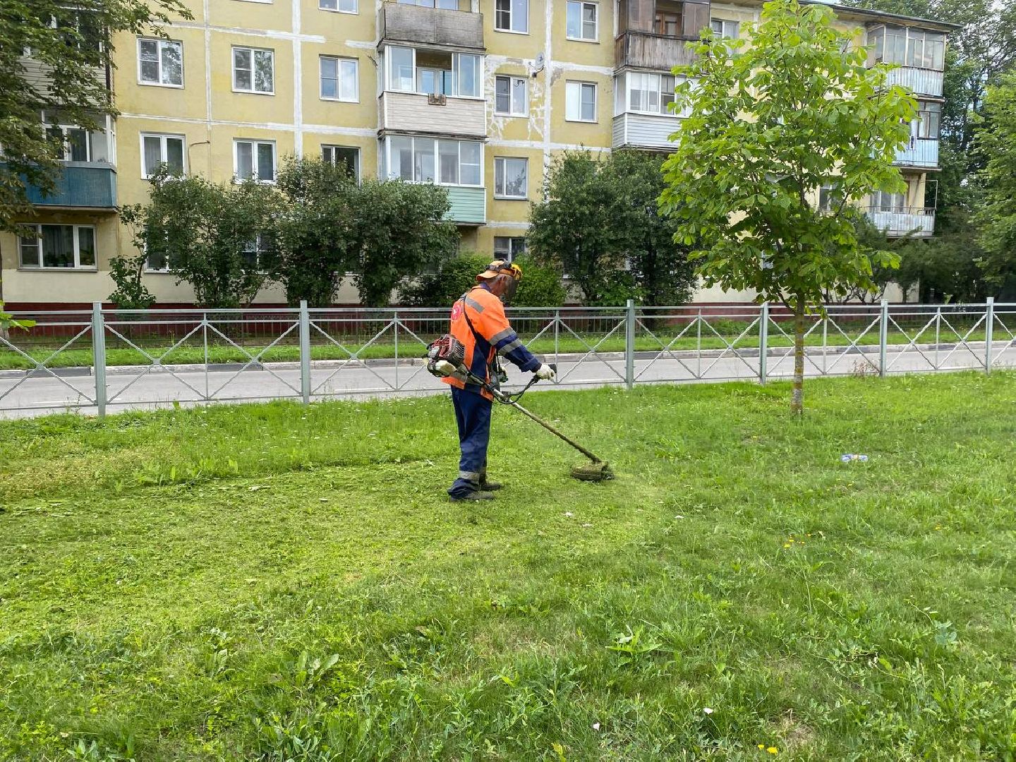 Покос