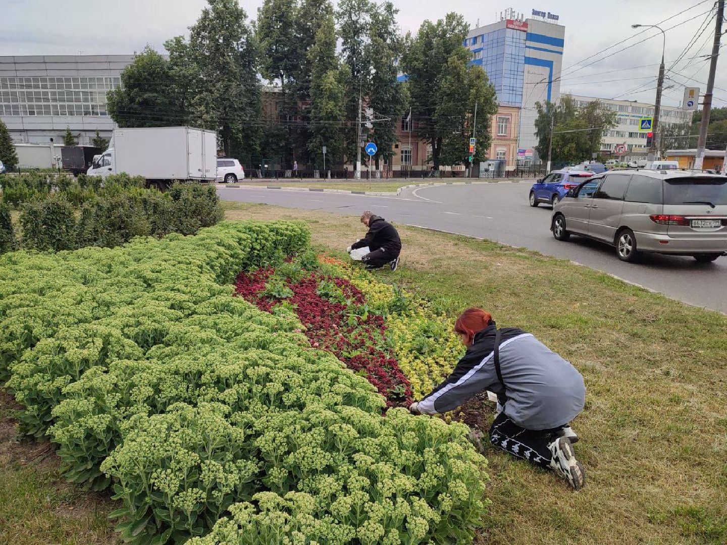 Школьники