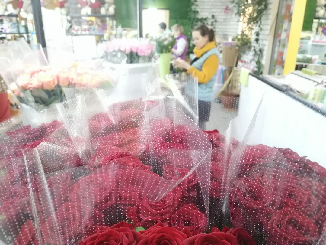 Протвино