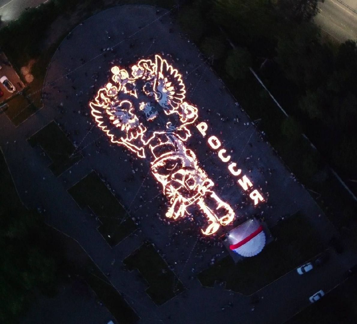 волонтеры подмосковья