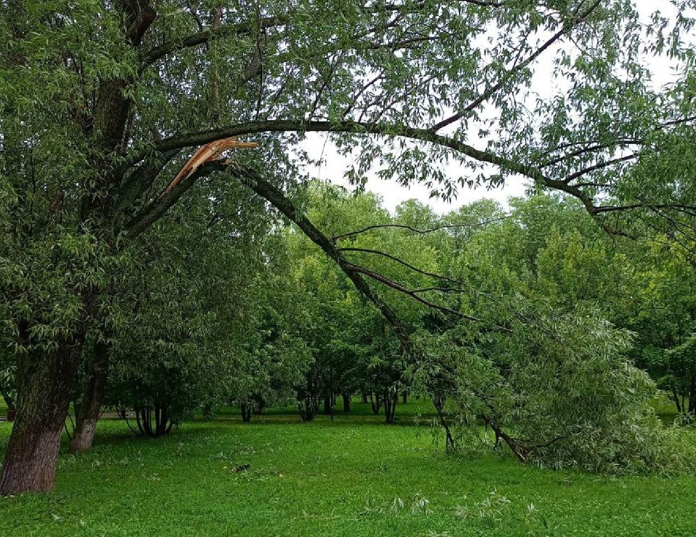 реутов