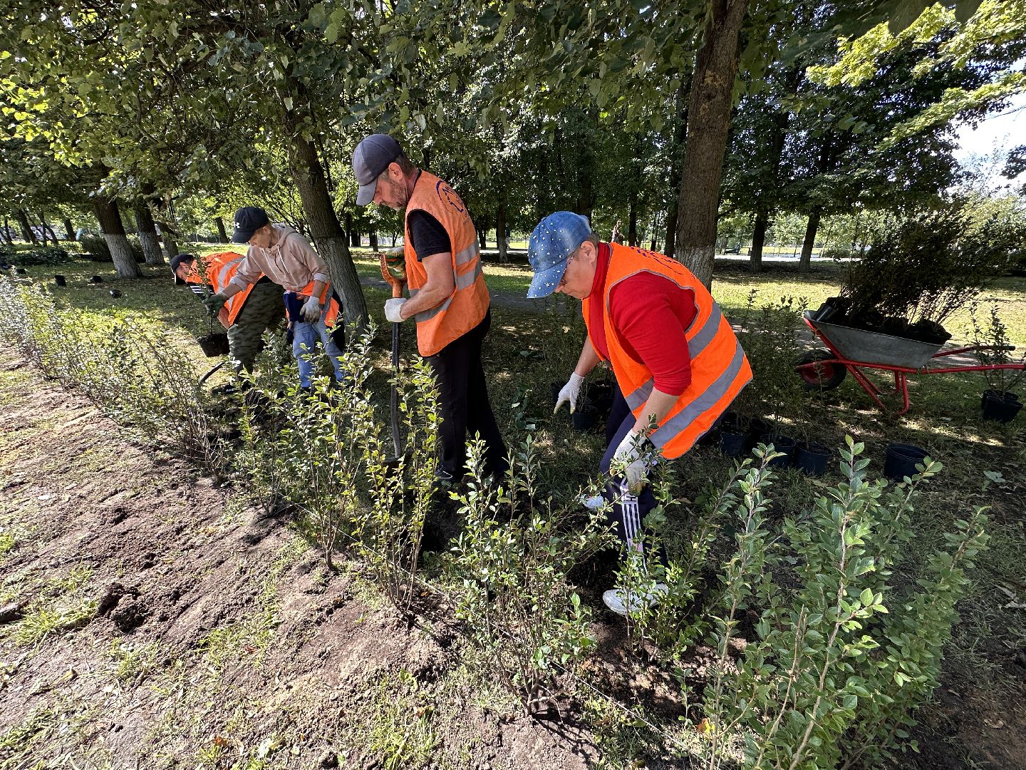 озеленение