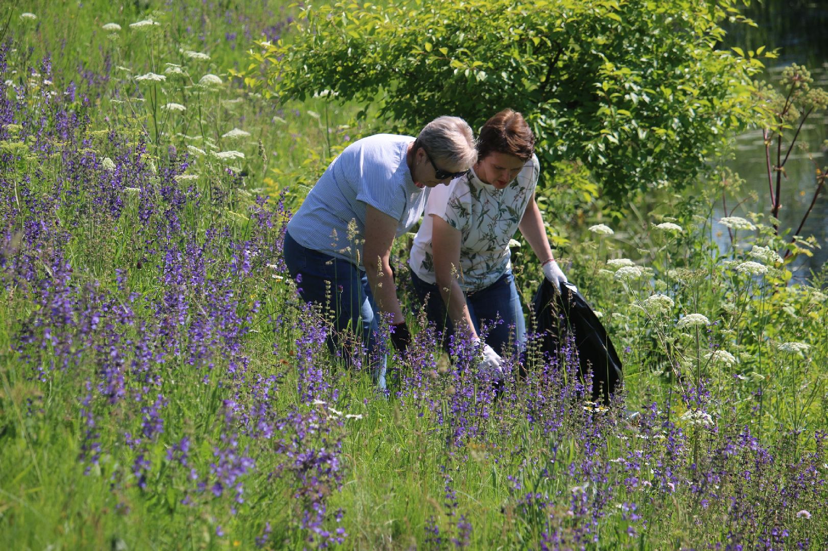серебряные пруды