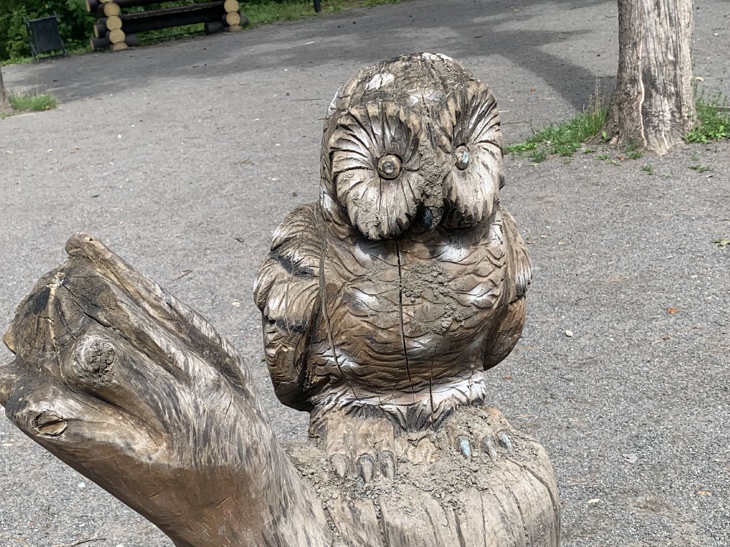 красногорск