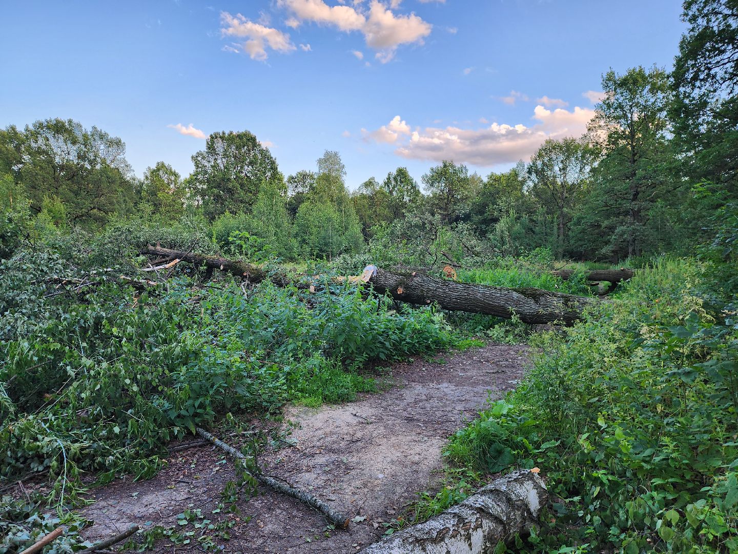 строительство