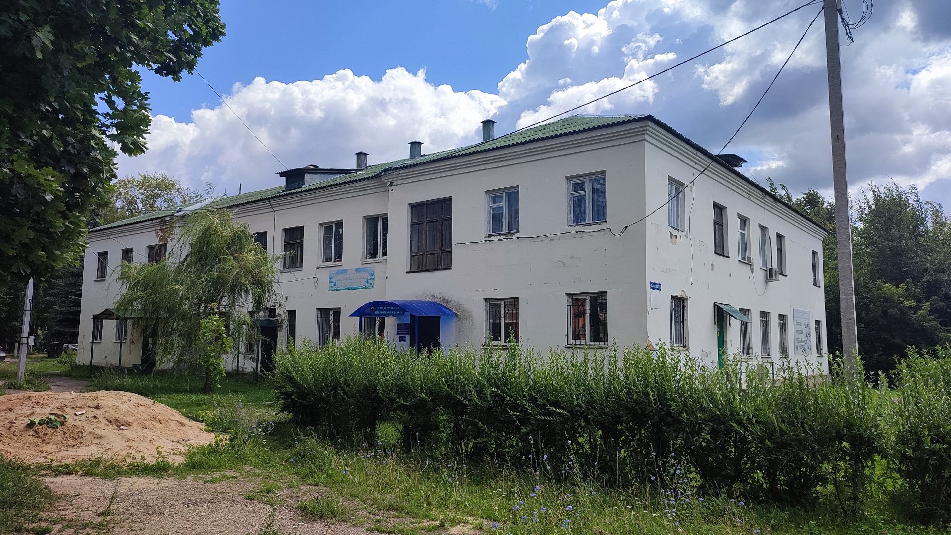 бизнес