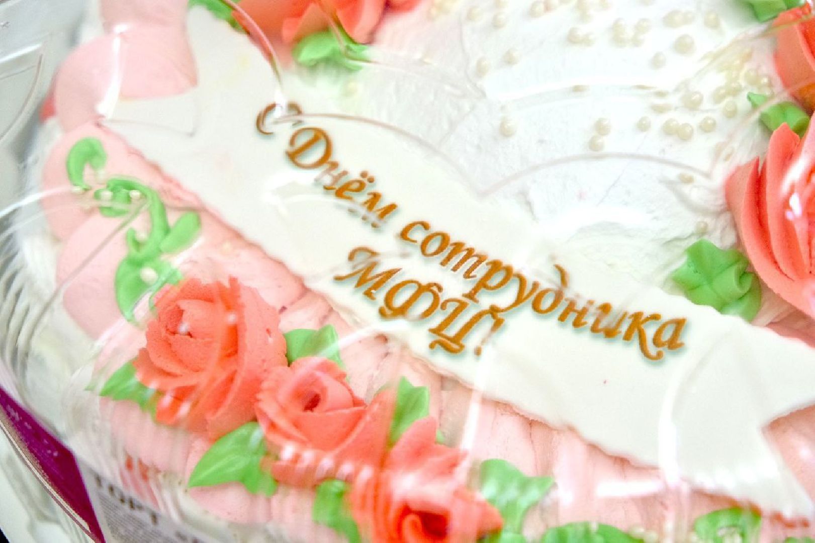 сотрудники