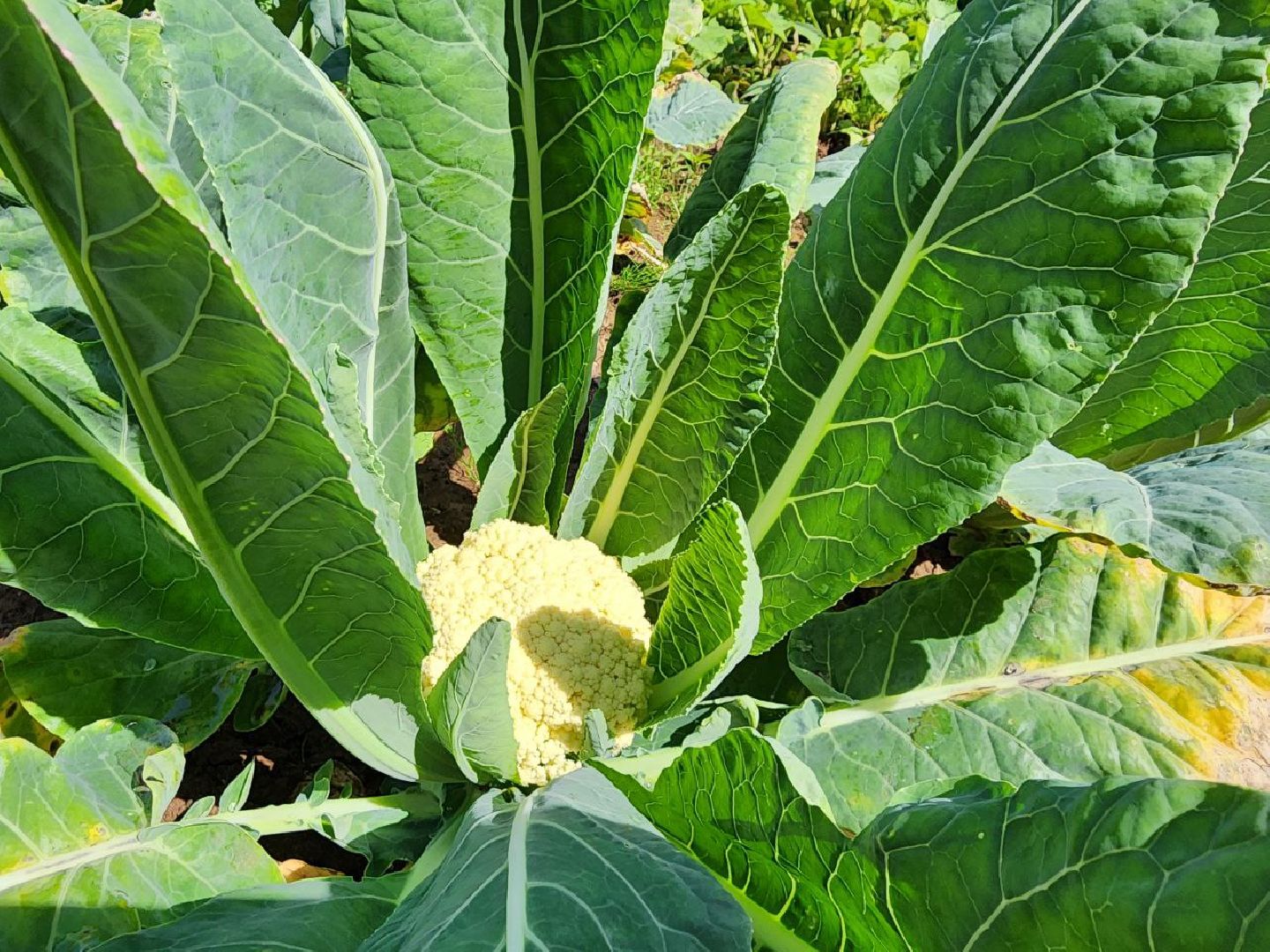 детский сад