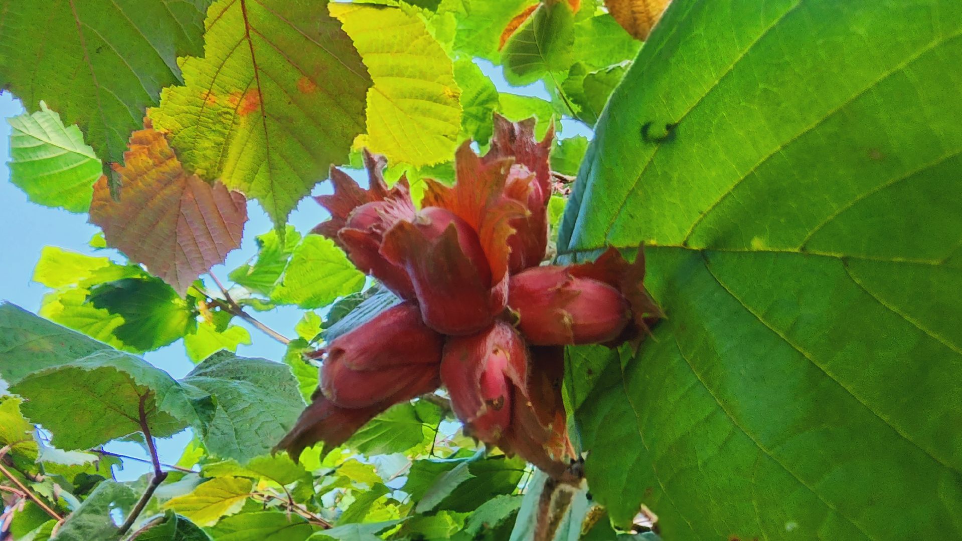 ивантеевка