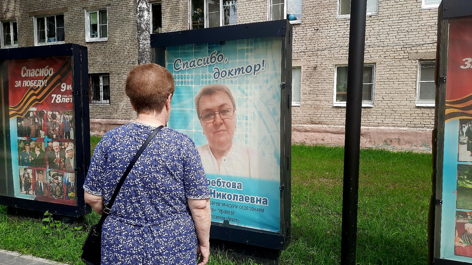 Медики