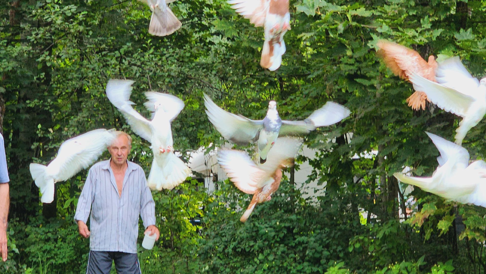 ивантеевка