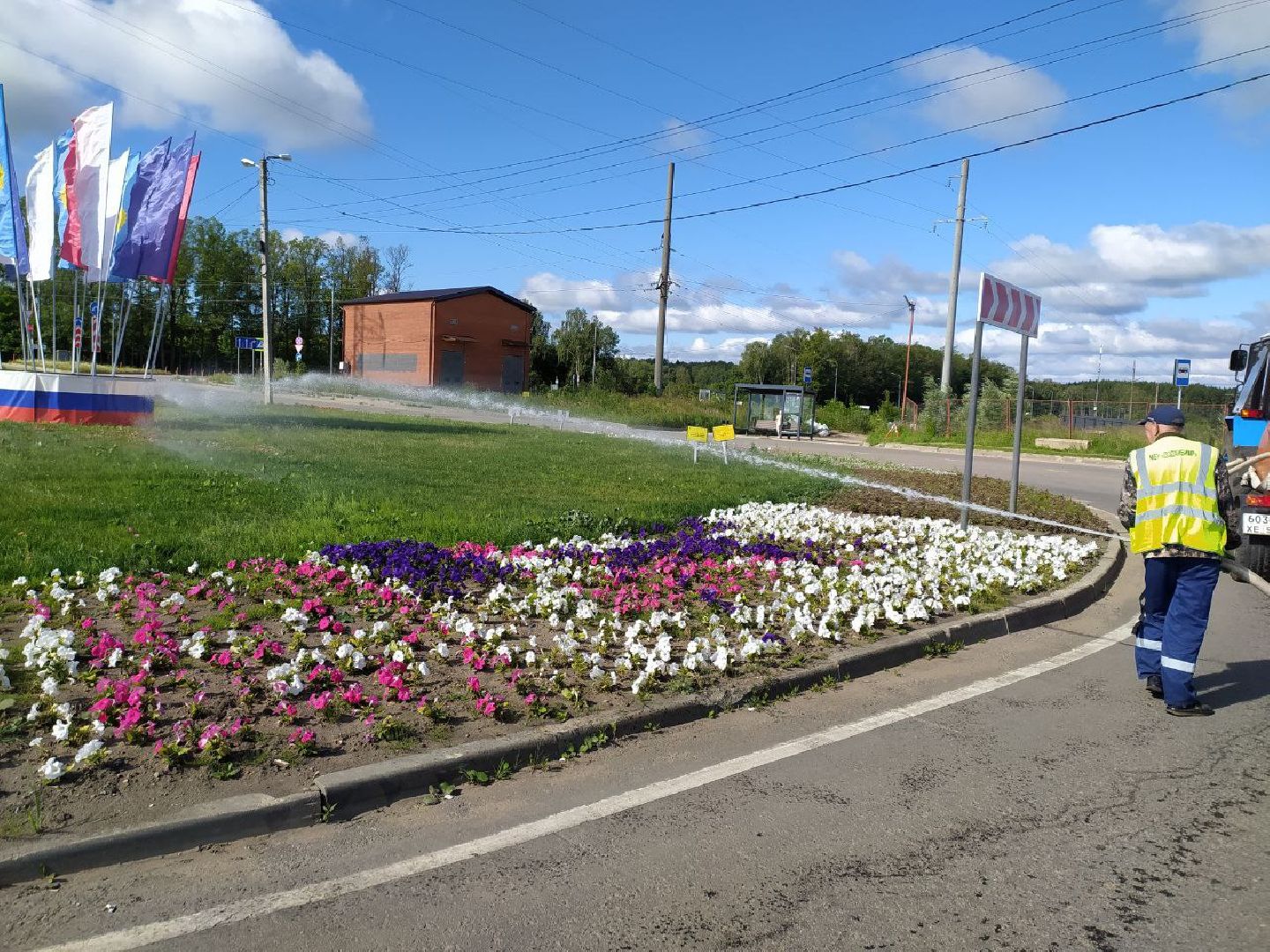 цвет