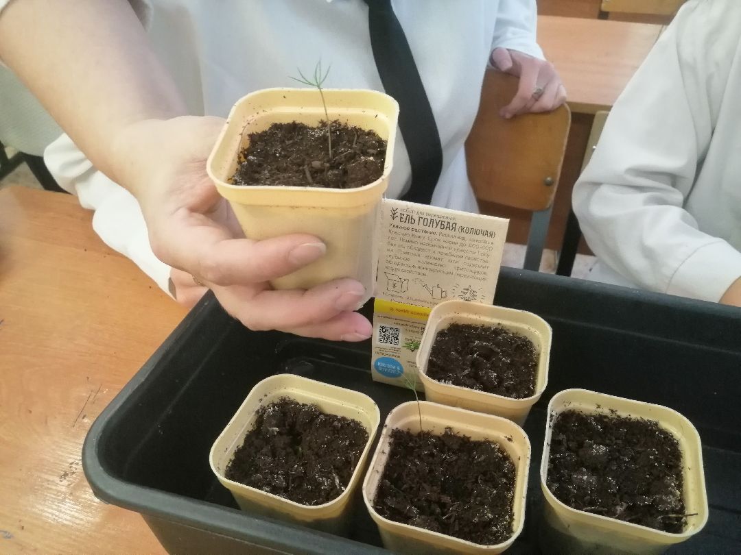 лесничество
