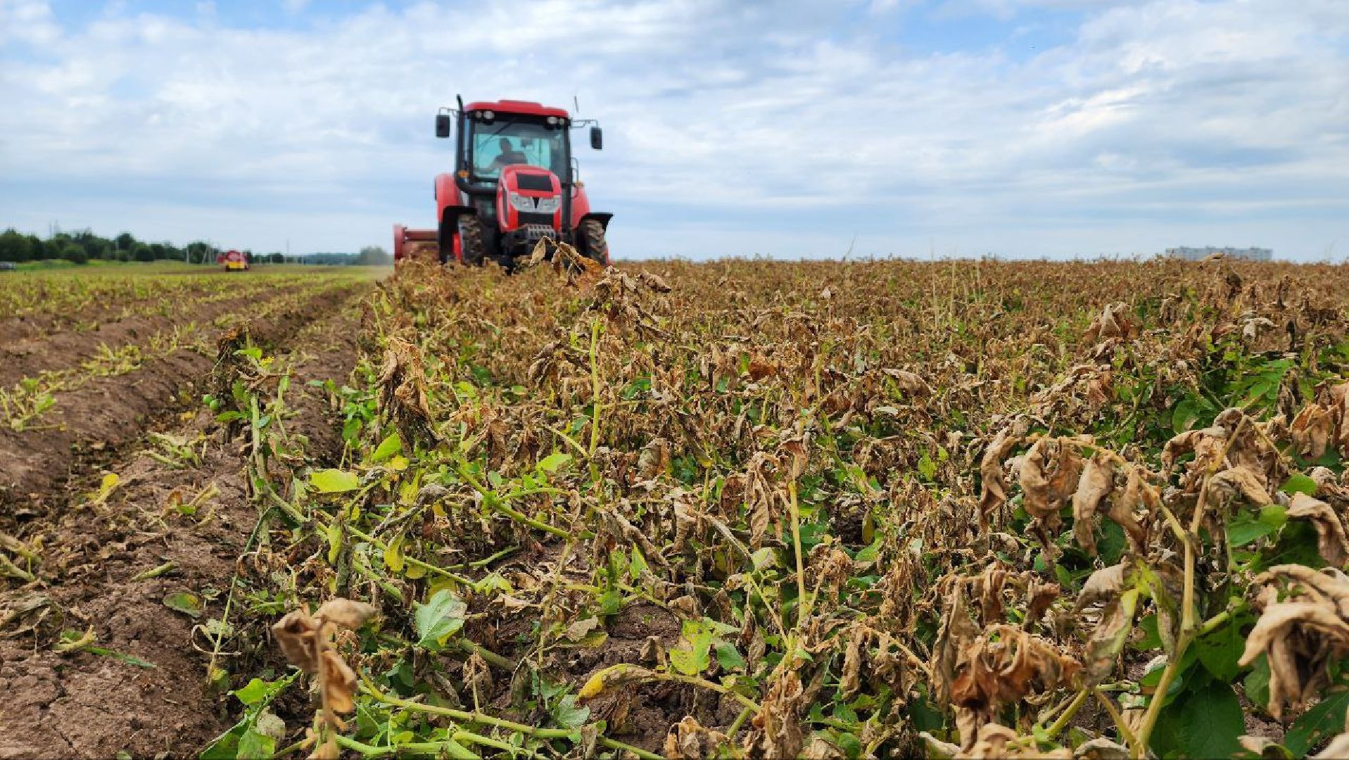 минсельхоз