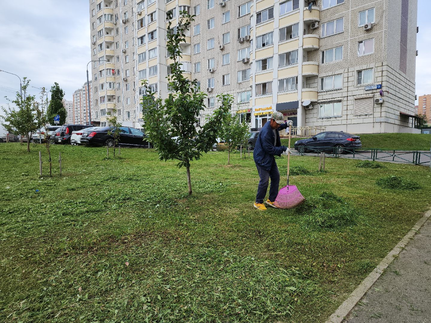 Покос