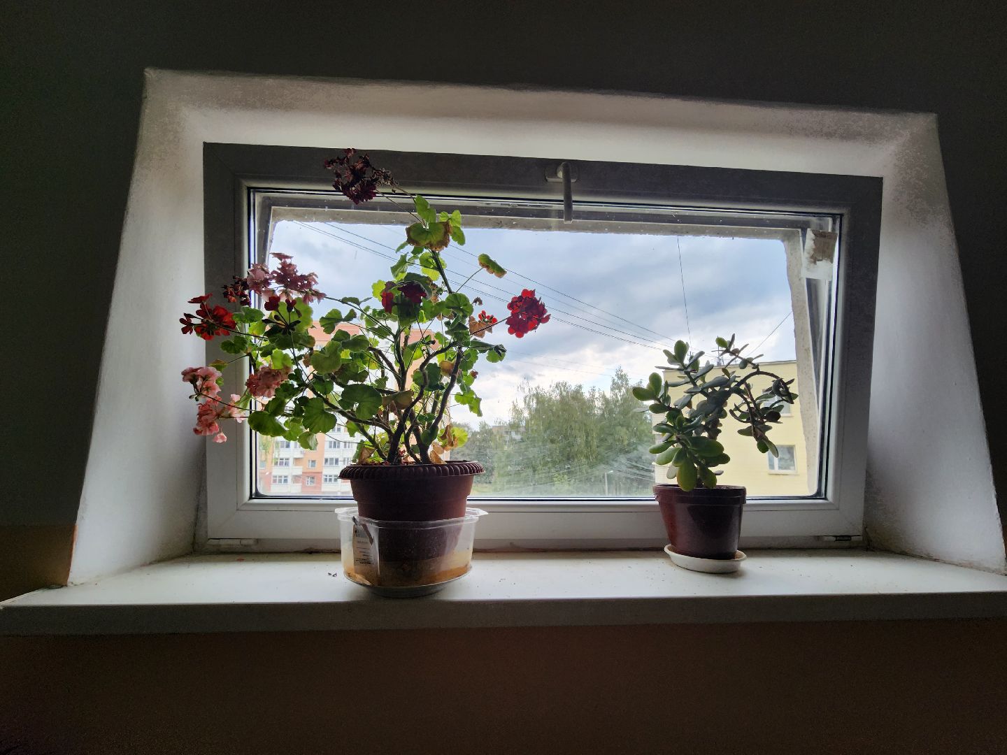 Звенигород