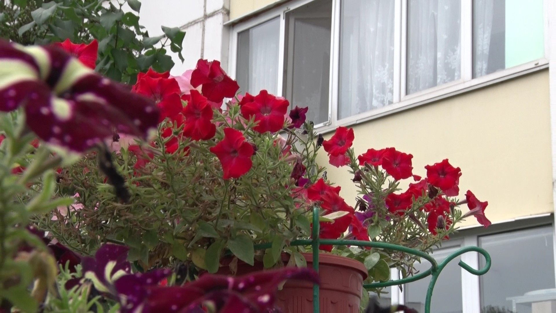 лучший двор